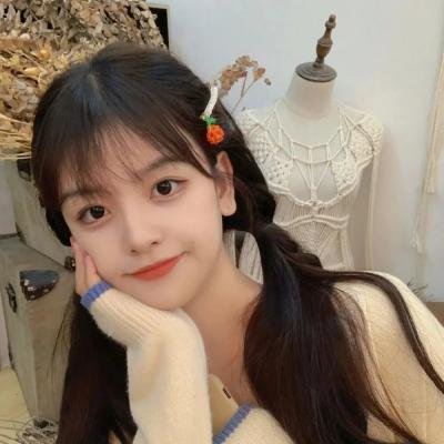 基督山之子